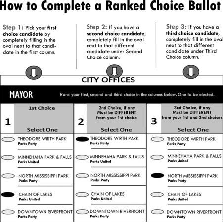 Image displaying steps to complete a raked choice ballot