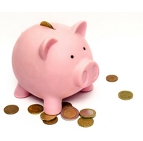 Piggy Bank Image