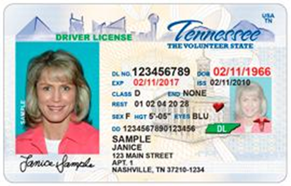 Sample TN Drivers License